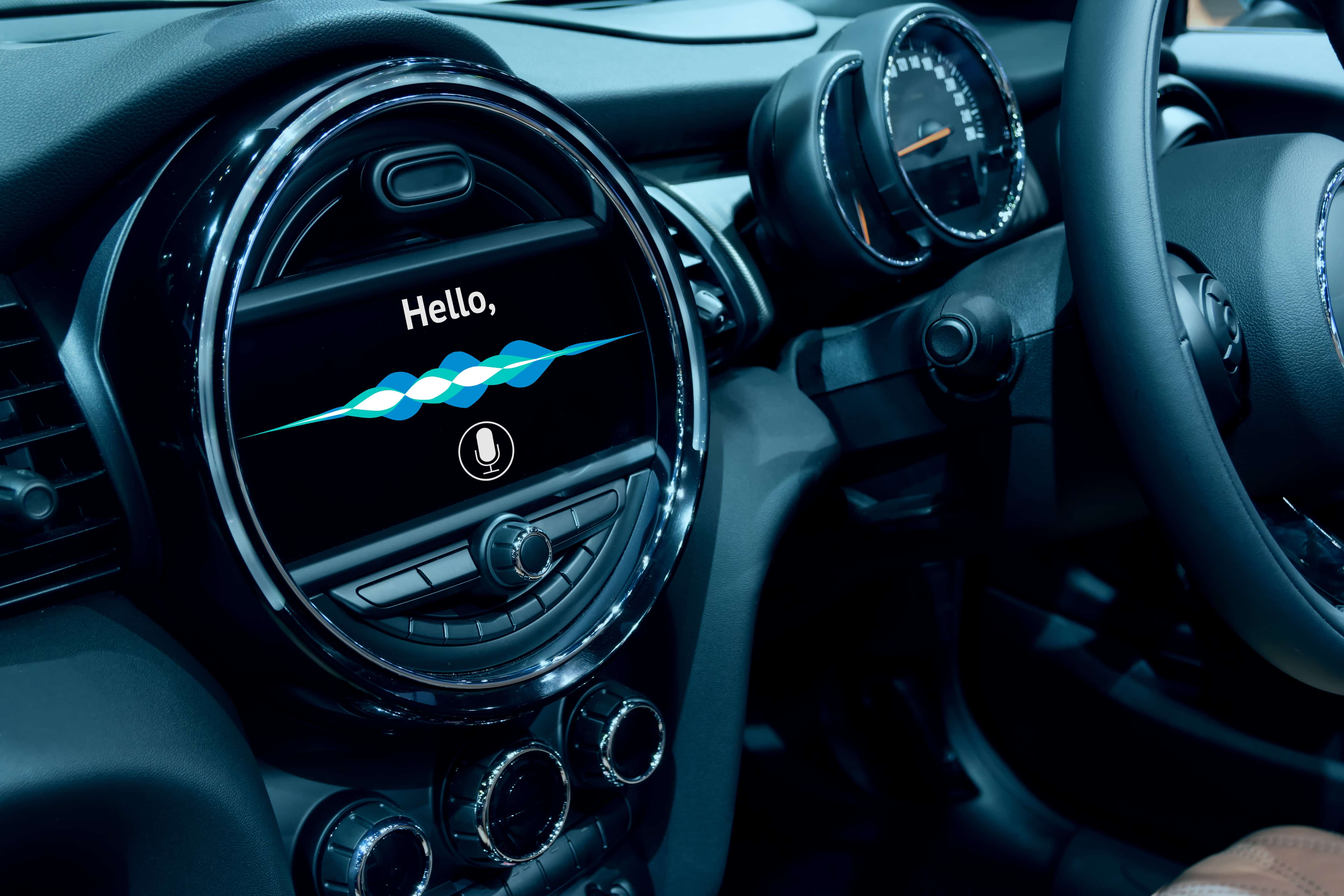 Image Alt Text