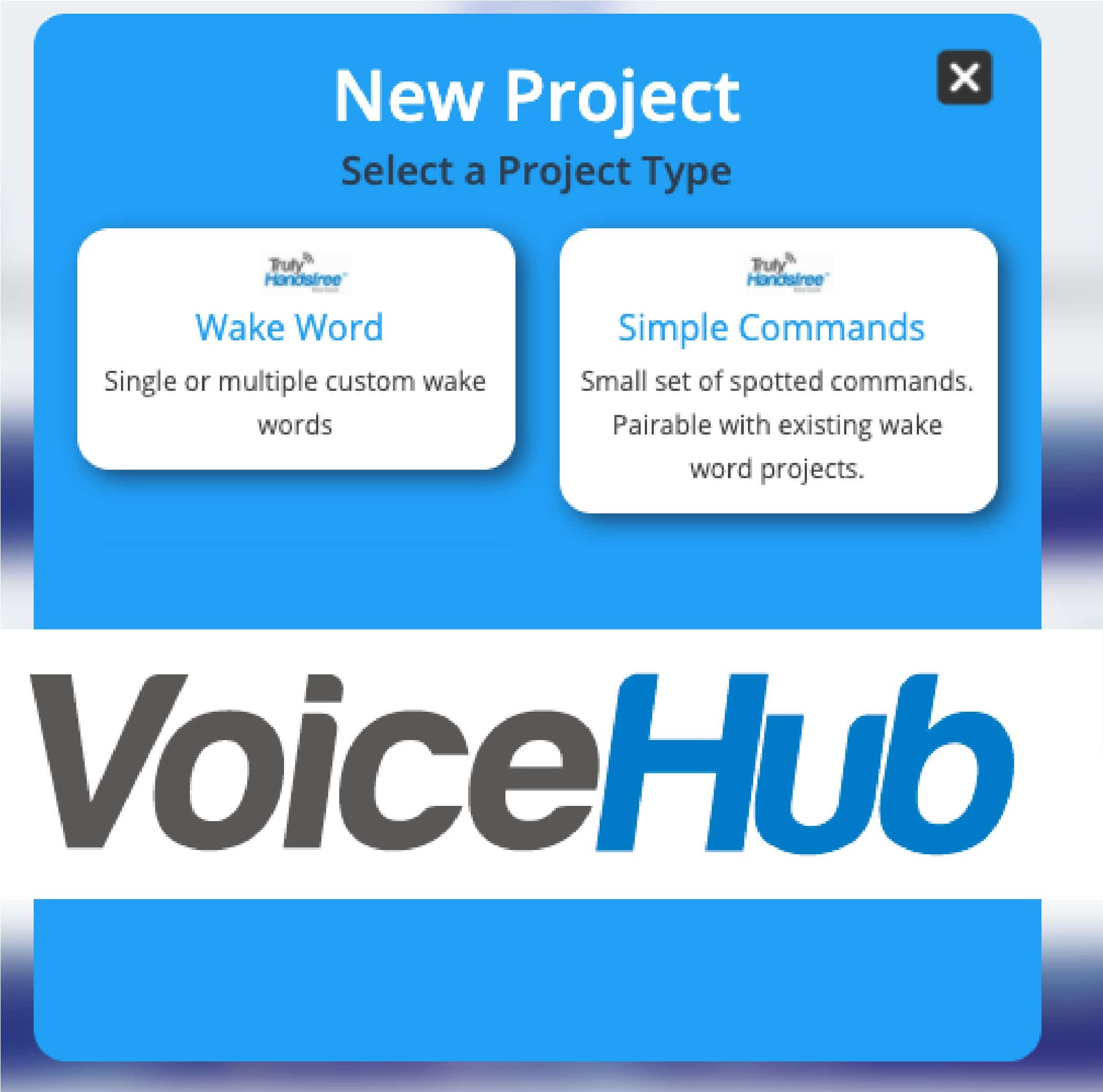 Sensory Voice Hub Portal 